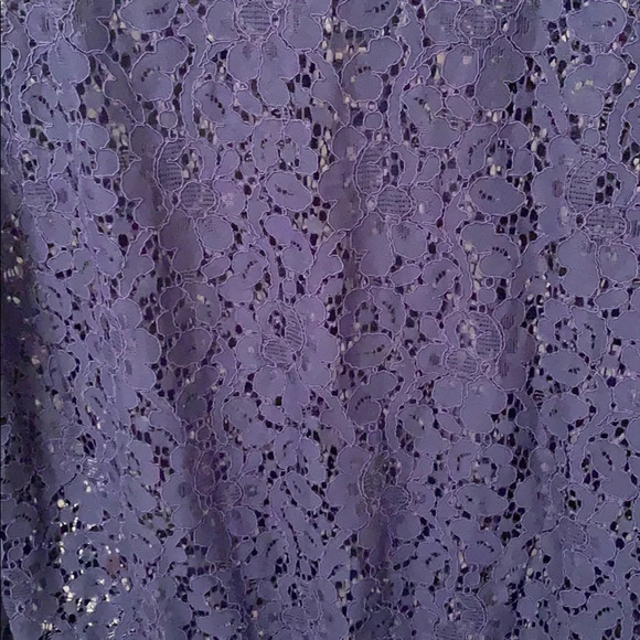 MASSINI Sheer Lace Crew Neck Navy Blue Blouse with Ruffle - Size Small - Picture 7 of 8